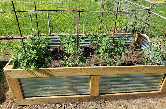 vegetable gardening