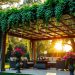 backyard pergolas
