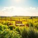 benefits of herb gardening