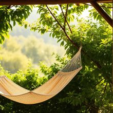 hammock swings