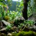 terrarium design ideas